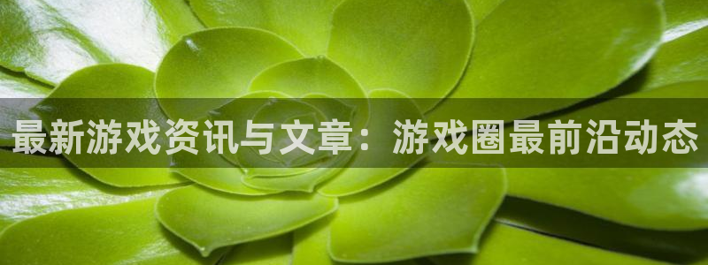 极悦娱乐的意思：最新游戏资讯与文章：游戏圈最前沿动态