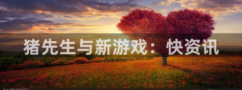 极悦娱乐测速：猪先生与新游戏：快资讯