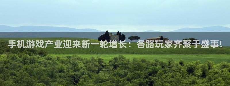 极悦娱乐在线登录：手机游戏产业迎来新一轮增长：各路玩家齐聚于