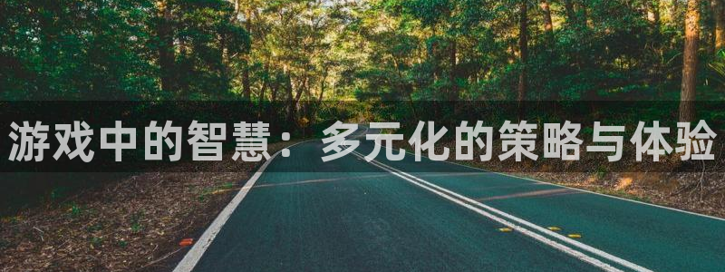 极悦娱乐app下载：游戏中的智慧：多元化的策略与体验