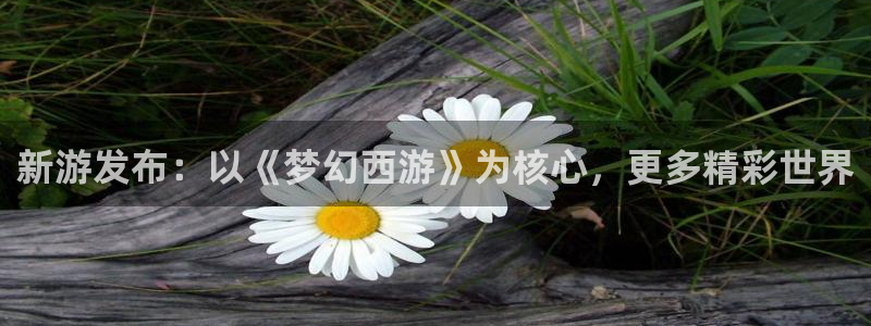 极悦娱乐网页版地址：新游发布：以《梦幻西游》为核心，更多精彩