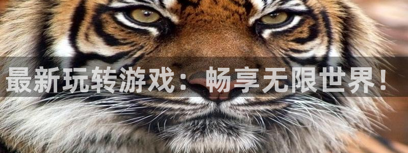 极悦娱乐4招商：最新玩转游戏：畅享无限世界！