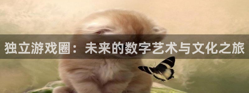 极悦娱乐注册服务条款：独立游戏圈：未来的数字艺术与文化之旅