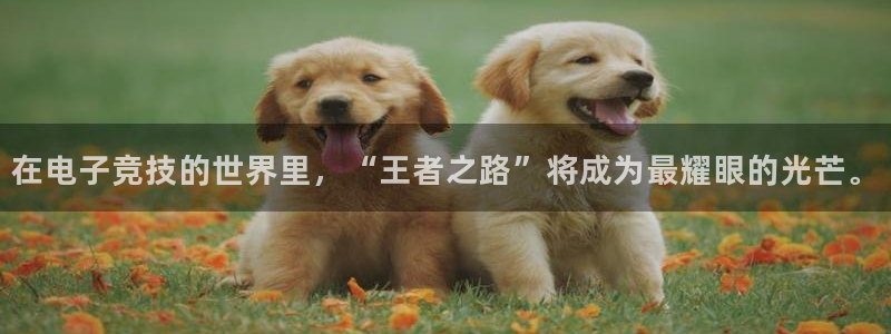 极悦娱乐注册登录：在电子竞技的世界里，“王者之路”将成为最耀