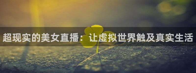 so米足球直播吧