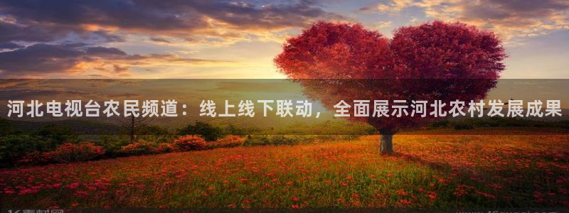 so米体育直播在线观看：河北电视台农民频道：线上线下联动，全面展示河北农村发展成果