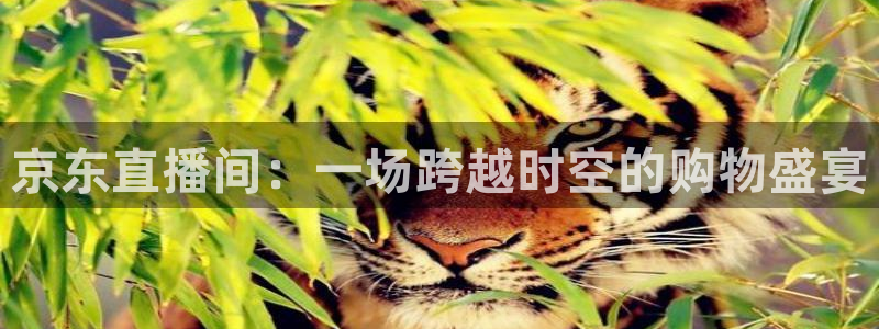 so米nba篮球直播：京东直播间：一场跨越时空的购物盛宴